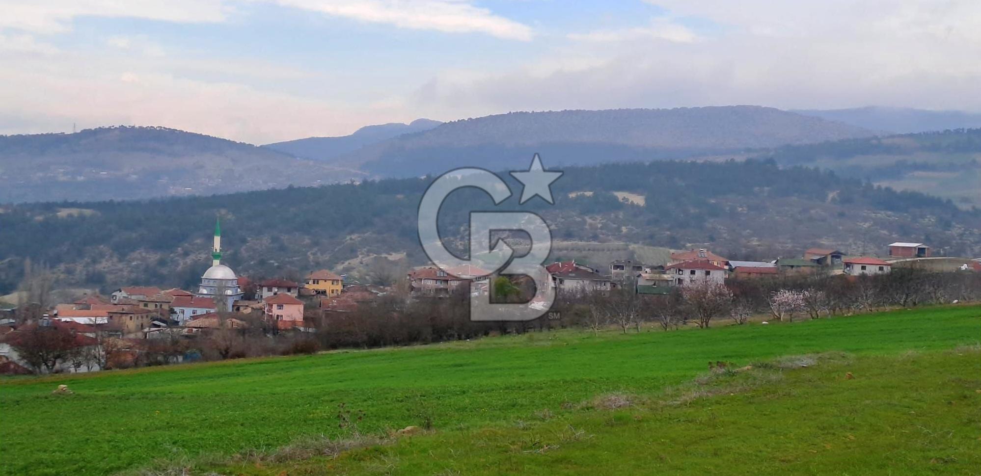 Geyve Yatırımlık Tarla! 8.243 m²,Köy Merkezine 100 metre