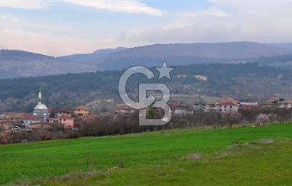 Geyve Yatırımlık Tarla! 8.243 m²,Köy Merkezine 100 metre