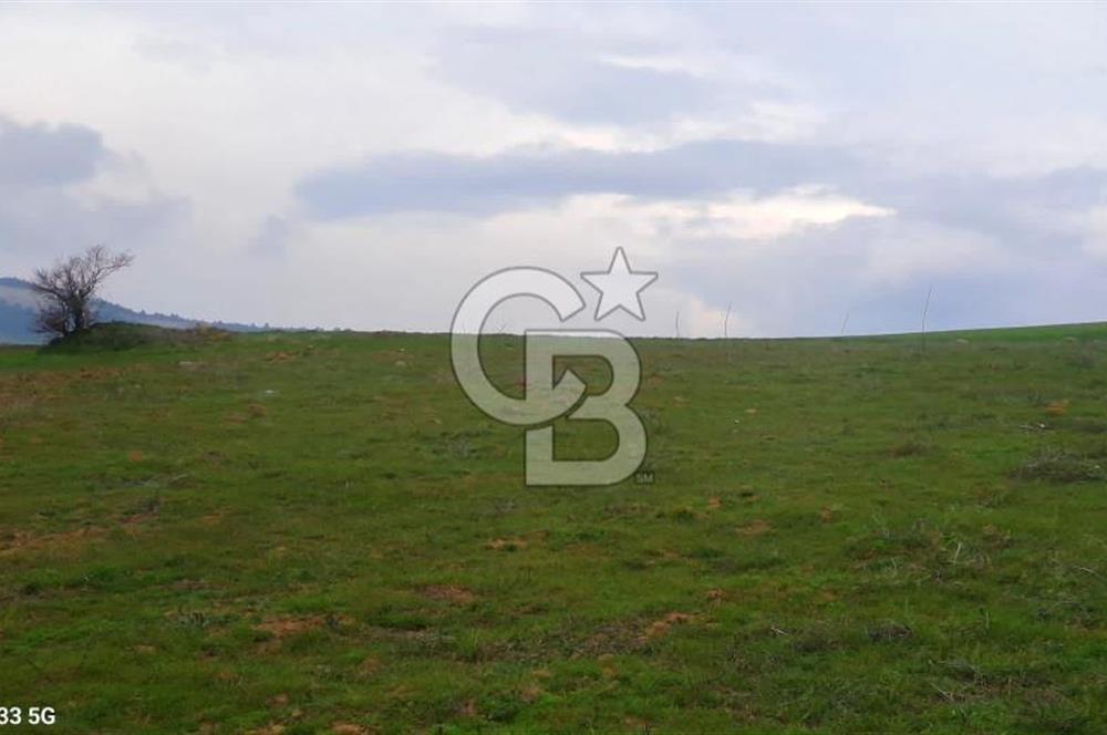 Geyve Yatırımlık Tarla! 8.243 m²,Köy Merkezine 100 metre