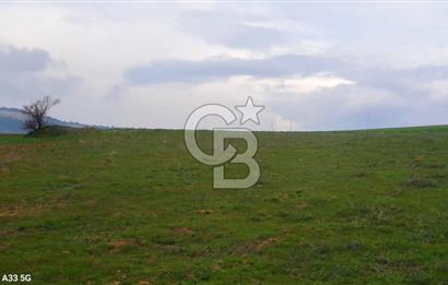 Geyve Yatırımlık Tarla! 8.243 m²,Köy Merkezine 100 metre