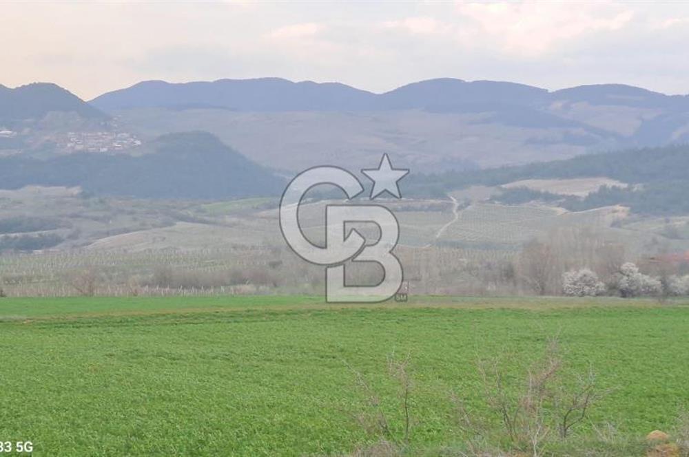 Geyve Yatırımlık Tarla! 8.243 m²,Köy Merkezine 100 metre