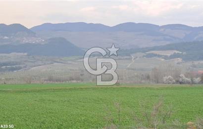 Geyve Yatırımlık Tarla! 8.243 m²,Köy Merkezine 100 metre