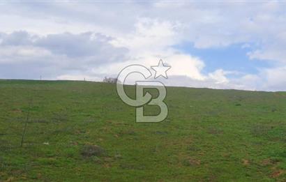 Geyve Yatırımlık Tarla! 8.243 m²,Köy Merkezine 100 metre