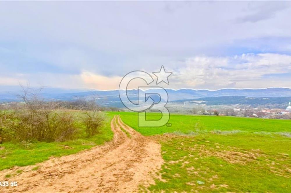 Geyve Yatırımlık Tarla! 8.243 m²,Köy Merkezine 100 metre