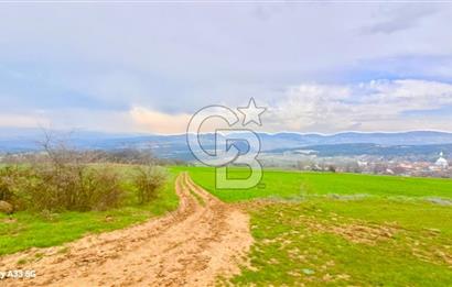 Geyve Yatırımlık Tarla! 8.243 m²,Köy Merkezine 100 metre