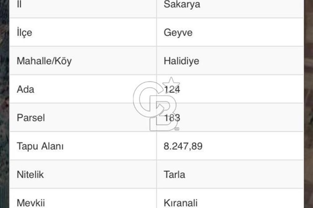 Geyve Yatırımlık Tarla! 8.243 m²,Köy Merkezine 100 metre