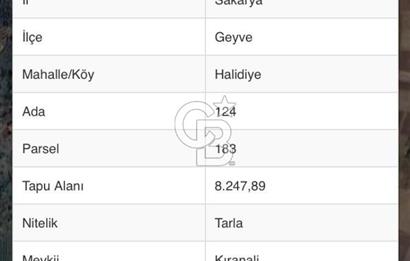 Geyve Yatırımlık Tarla! 8.243 m²,Köy Merkezine 100 metre