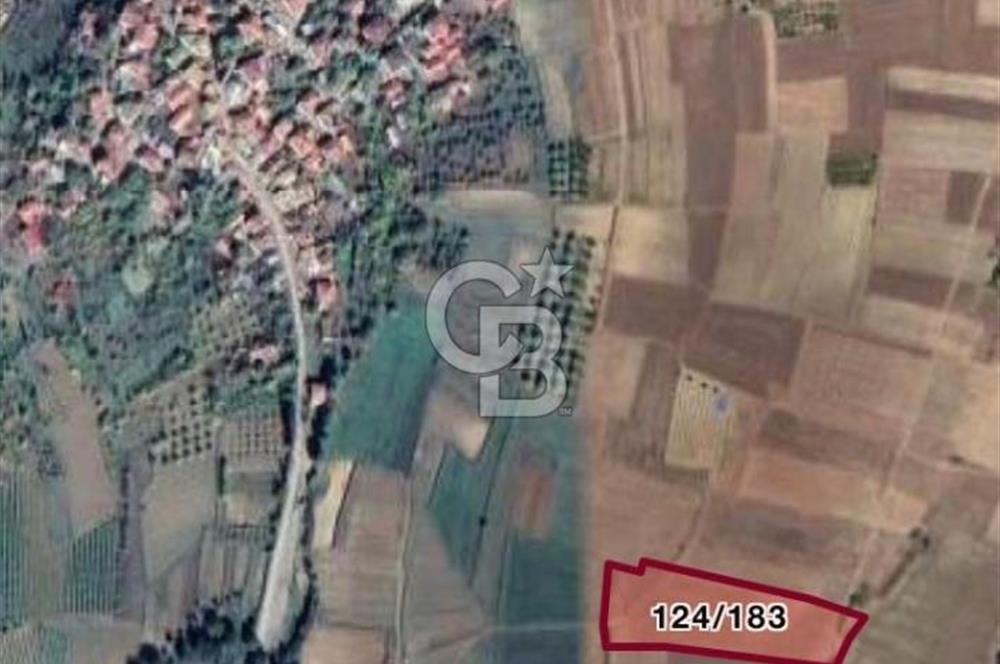 Geyve Yatırımlık Tarla! 8.243 m²,Köy Merkezine 100 metre