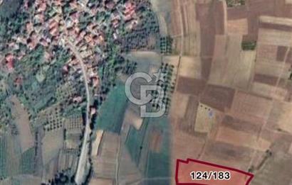 Geyve Yatırımlık Tarla! 8.243 m²,Köy Merkezine 100 metre