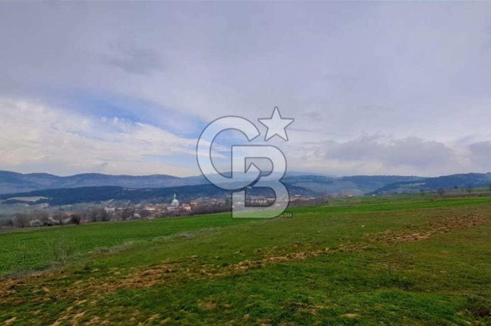 Geyve Yatırımlık Tarla! 8.243 m²,Köy Merkezine 100 metre