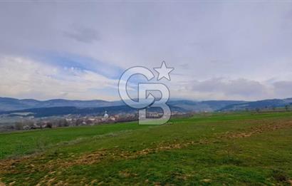 Geyve Yatırımlık Tarla! 8.243 m²,Köy Merkezine 100 metre