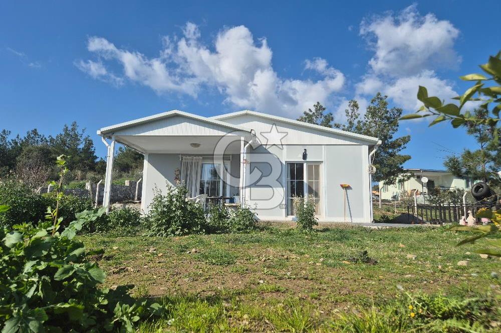 Seferihisar Orhanlı Satılık 4 Dönüm Zeytin Ağaçlı Tarla