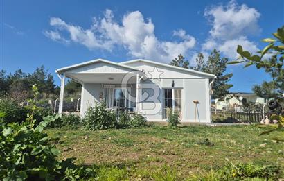 Seferihisar Orhanlı Satılık 4 Dönüm Zeytin Ağaçlı Tarla