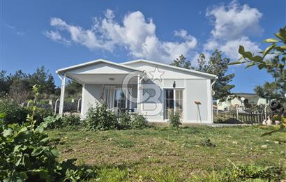 Seferihisar Orhanlı Satılık 4 Dönüm Zeytin Ağaçlı Tarla