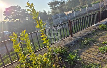 Seferihisar Orhanlı Satılık 4 Dönüm Zeytin Ağaçlı Tarla