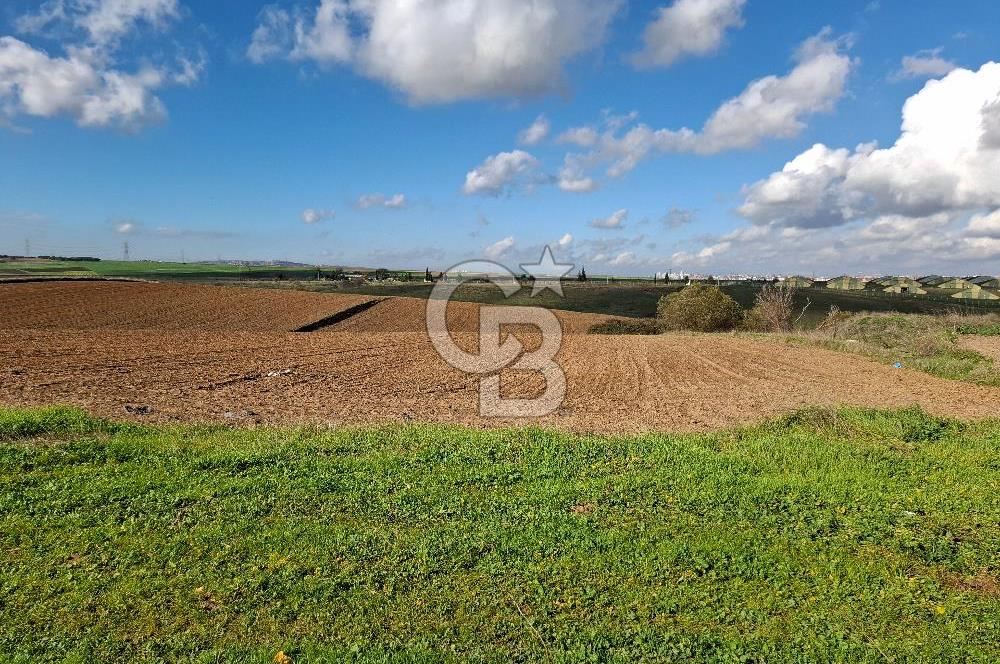 Çorlu-Türkgücü 1.OSB Yanında SATILIK 30.100m2 Arazi