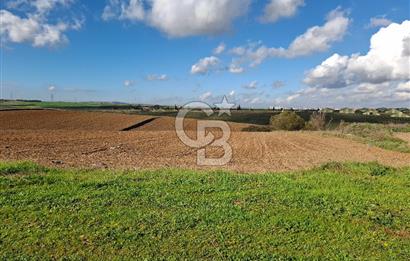 Çorlu-Türkgücü 1.OSB Yanında SATILIK 30.100m2 Arazi