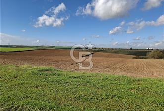 Çorlu-Türkgücü 1.OSB Yanında SATILIK 30.100m2 Arazi - 1 - 317495