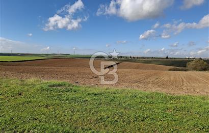 Çorlu-Türkgücü 1.OSB Yanında SATILIK 30.100m2 Arazi