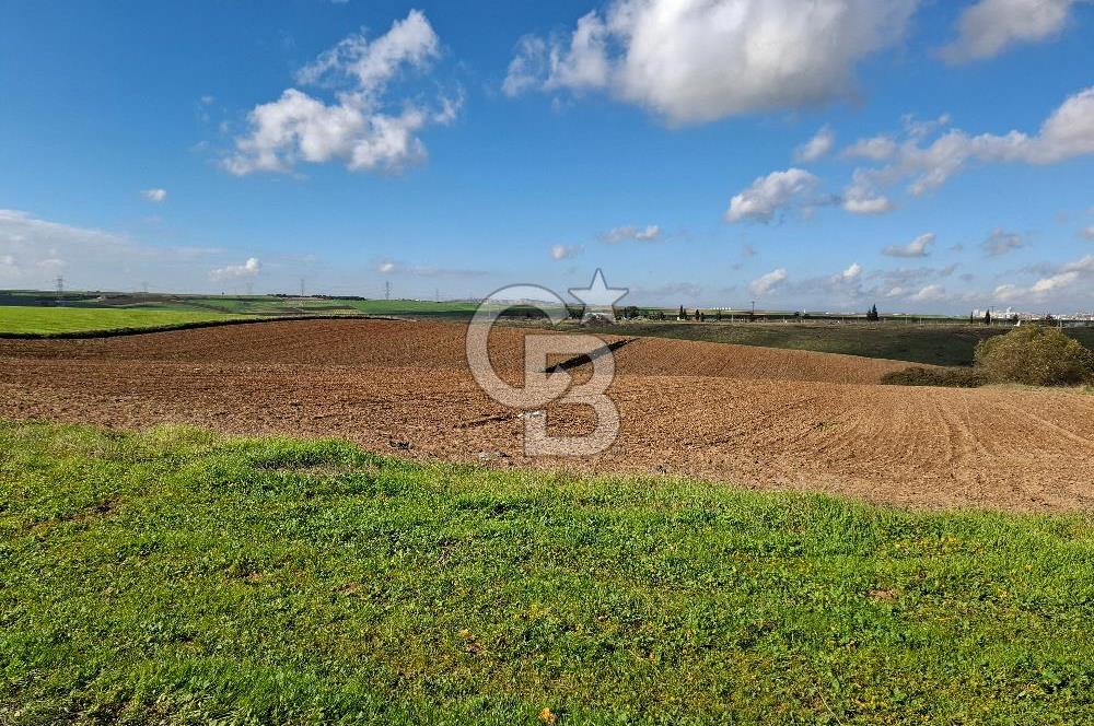 Çorlu-Türkgücü 1.OSB Yanında SATILIK 30.100m2 Arazi