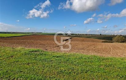 Çorlu-Türkgücü 1.OSB Yanında SATILIK 30.100m2 Arazi