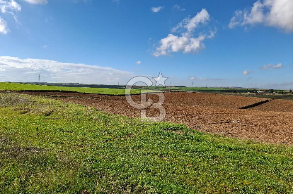 Çorlu-Türkgücü 1.OSB Yanında SATILIK 30.100m2 Arazi