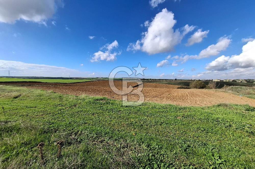 Çorlu-Türkgücü 1.OSB Yanında SATILIK 30.100m2 Arazi