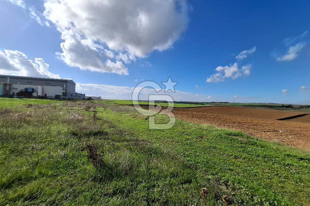 Çorlu-Türkgücü 1.OSB Yanında SATILIK 30.100m2 Arazi