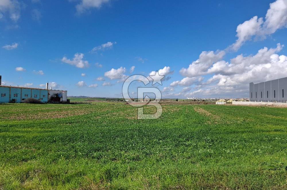 Çorlu-Türkgücü 1.OSB Yanında SATILIK 30.100m2 Arazi