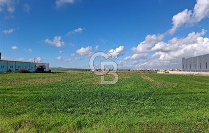 Çorlu-Türkgücü 1.OSB Yanında SATILIK 30.100m2 Arazi