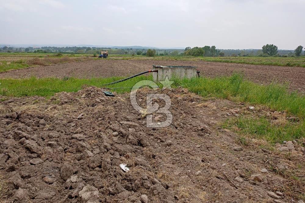 Balıkesir ivrindi Osmanlar Mahallesi'nde satılık tarla 