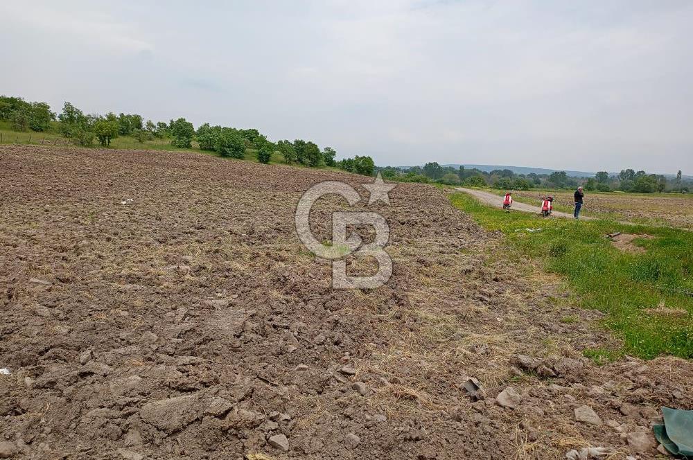 Balıkesir ivrindi Osmanlar Mahallesi'nde satılık tarla 