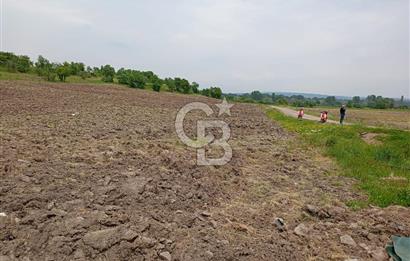 Balıkesir ivrindi Osmanlar Mahallesi'nde satılık tarla 