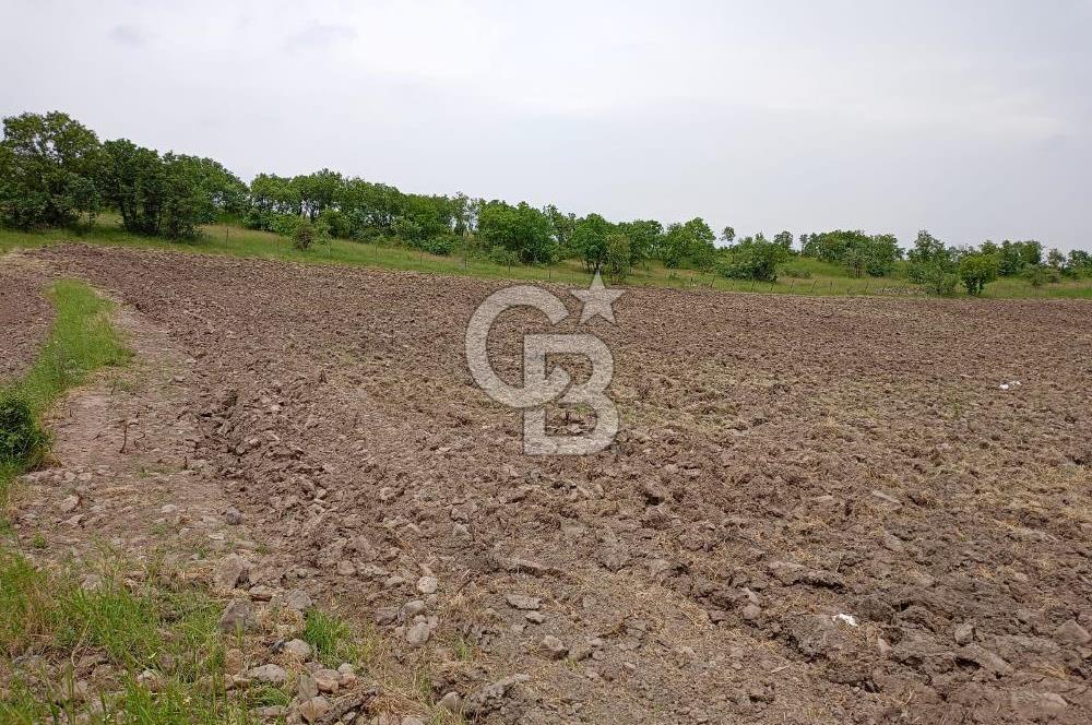 Balıkesir ivrindi Osmanlar Mahallesi'nde satılık tarla 