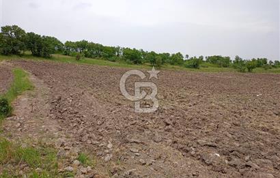 Balıkesir ivrindi Osmanlar Mahallesi'nde satılık tarla 