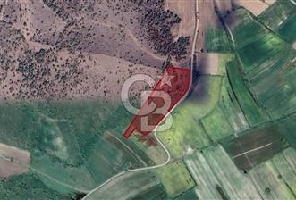 Balıkesir ivrindi Osmanlar Mahallesi'nde satılık tarla  - 1 - 317485