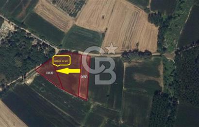 Kırklareli Merkez'de İmara Çok Yakın SATILIK 1633 m2 Arazi