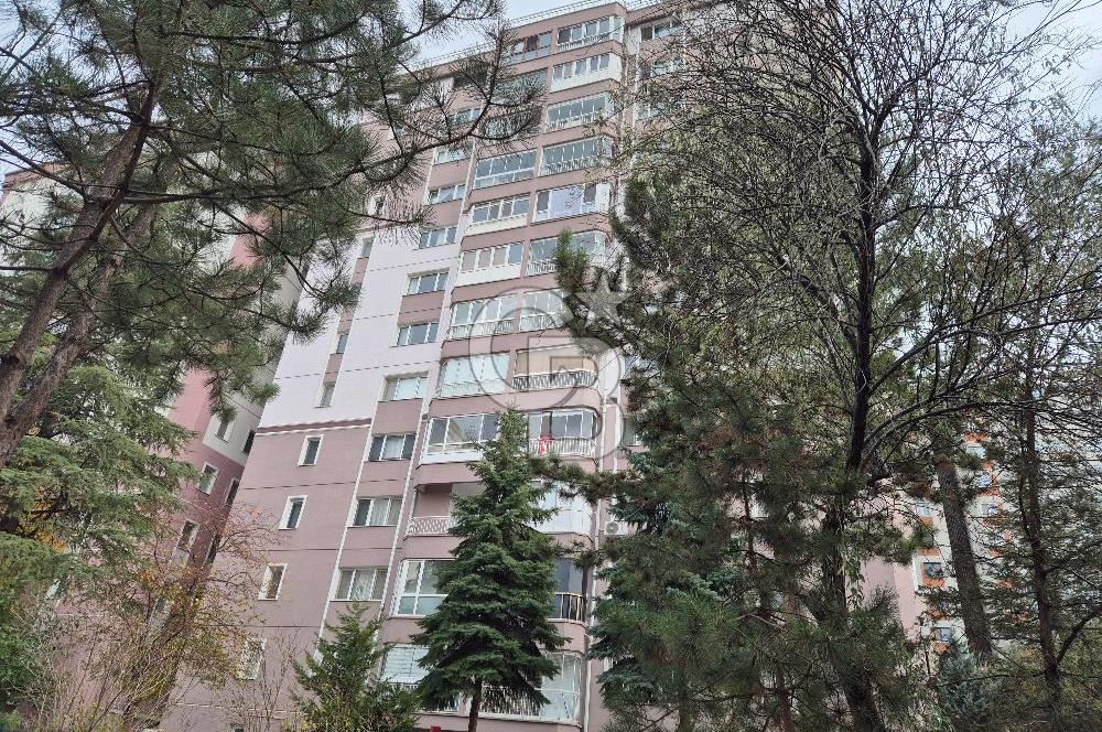 Çiğdemde Full Eşyalı 3+1 Güneydoğu Cephe, 10. Kat Kiralık