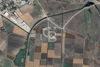 KARACABEY KARASU MH. 3100 M2 KÖY'E 179 M MESAFEDE SATILIK TARLA - 1 - 317521