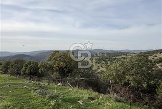 ASSOS PAŞAKÖY'DE KÖY İÇİ İMARLI ARSA - 1 - 317544