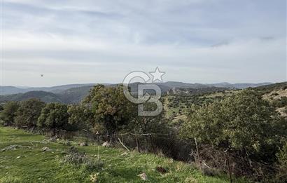 ASSOS PAŞAKÖY'DE KÖY İÇİ İMARLI ARSA