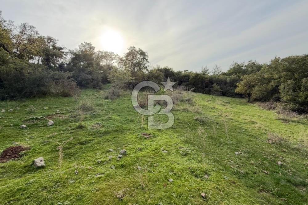 ASSOS PAŞAKÖY'DE KÖY İÇİ İMARLI ARSA