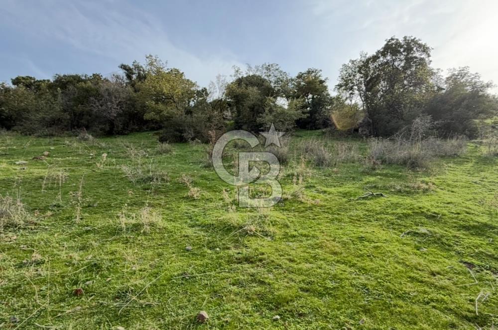 ASSOS PAŞAKÖY'DE KÖY İÇİ İMARLI ARSA