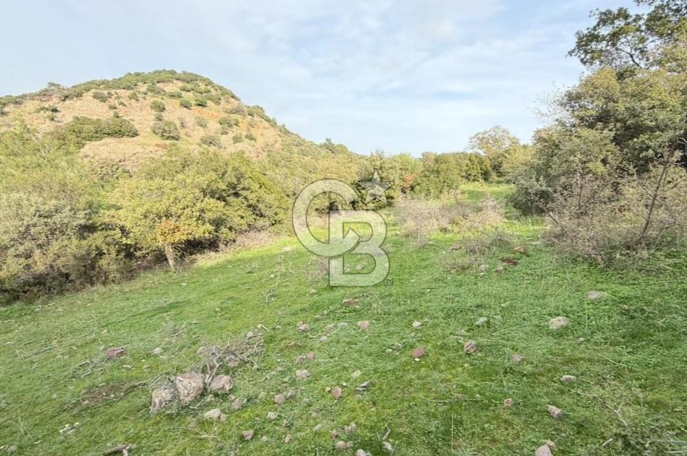 ASSOS PAŞAKÖY'DE KÖY İÇİ İMARLI ARSA