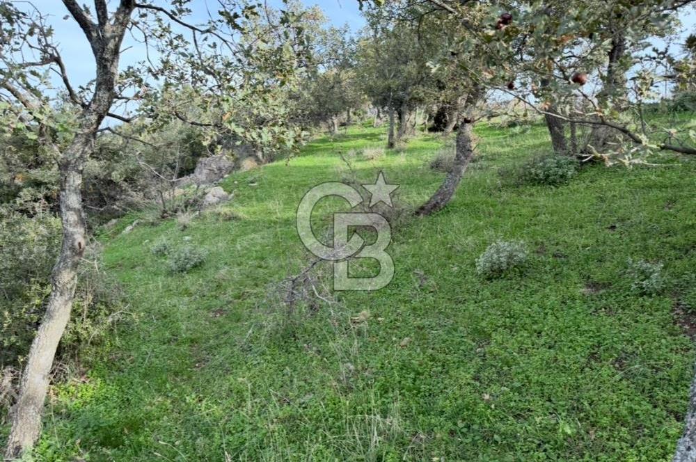 ASSOS PAŞAKÖY'DE KÖY İÇİ İMARLI ARSA