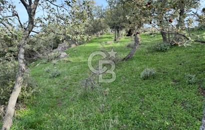 ASSOS PAŞAKÖY'DE KÖY İÇİ İMARLI ARSA