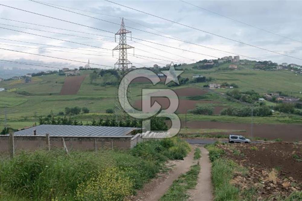 Büyükçekmece Tepecik’te 500. m² Satılık Tarla Hisseli tapu