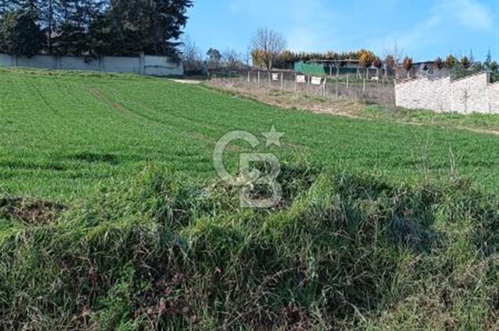 Büyükçekmece Tepecik’te 500. m² Satılık Tarla Hisseli tapu