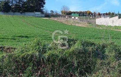 Büyükçekmece Tepecik’te 500. m² Satılık Tarla Hisseli tapu