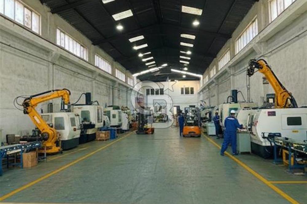 ANAYOLA CEPHE 600 M2 KİRALIK İŞYERİ